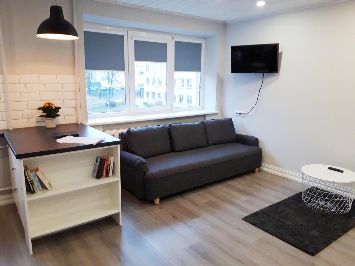 Alytus Ziburio Studio Exteriér fotografie