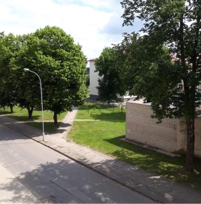 Alytus Ziburio Studio Exteriér fotografie